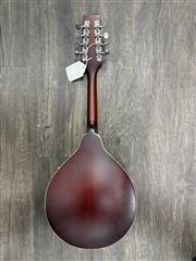 MORGAN MONROE BEAN BLOSSOM MANDOLIN W/CASE (B03092657) | eBay